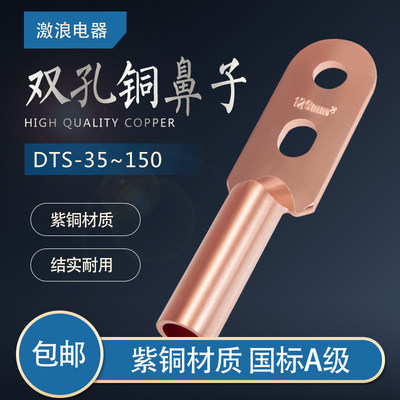 国标双孔铜鼻子DTS35/50/70/95/120/150平方铜接线端子电缆铜接头