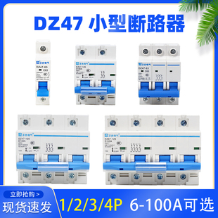 C45 1P2P3P4P 125A家用空气开关微断总电闸 小型断路器DZ47 63A