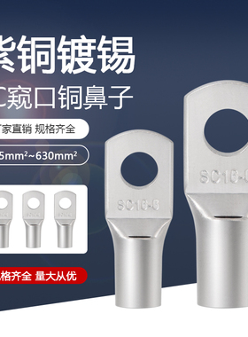 sc铜鼻子接线端子6平方电线接头紫铜压线端子冷压端子铜接头线耳