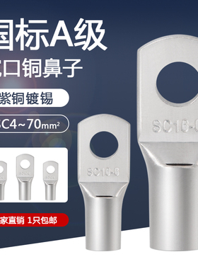 国标铜鼻子SC6平方接线端子电线压线接头冷压铜线鼻子窥口铜线耳
