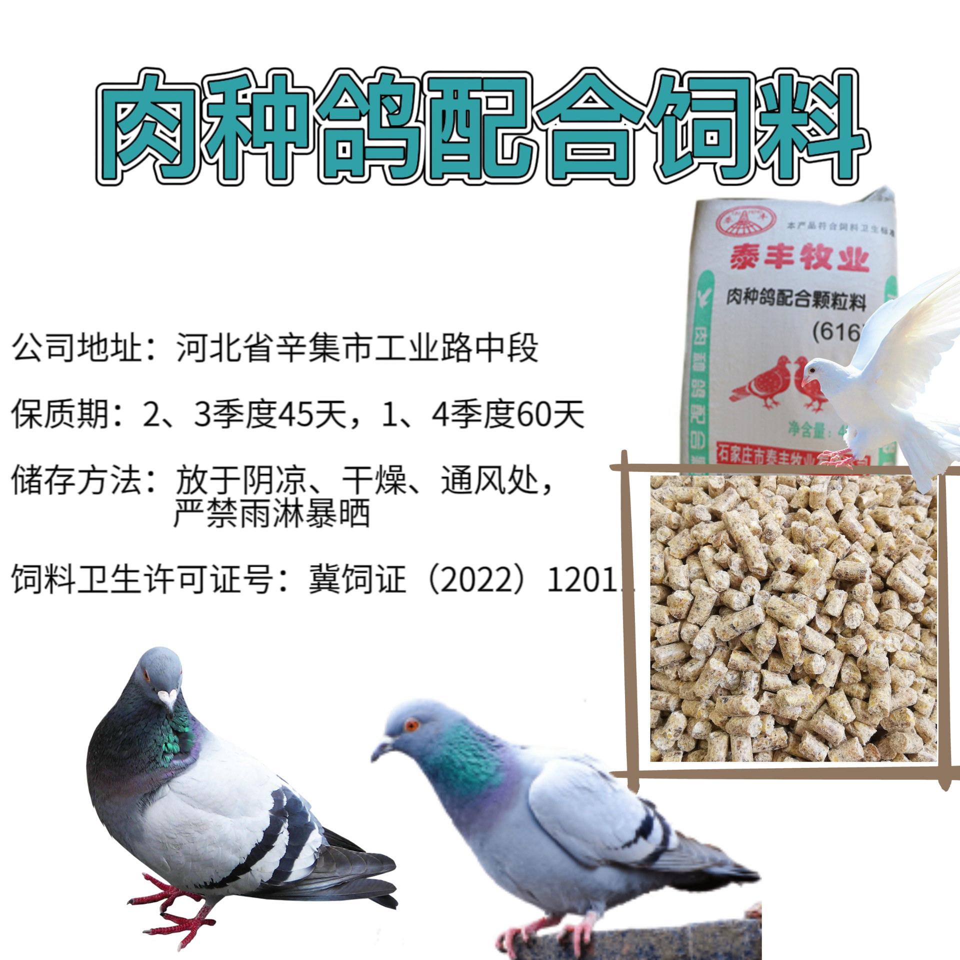 鸽粮鸽子饲料鸽子鸟食信鸽观赏鸽肉鸽幼成鸽粮饲料80斤颗粒鸽饲料
