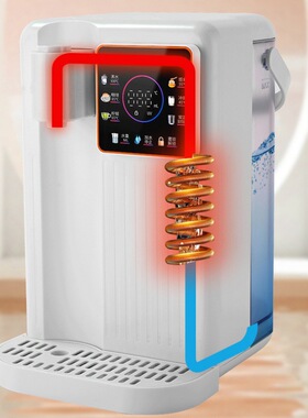 跨境110V即热过滤式饮水机台湾日本美规欧规桌面家用速热台式出口