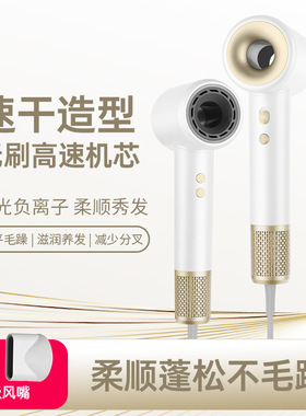 跨境高速吹风机家用负离子发廊大功率理发店工厂blow dryer