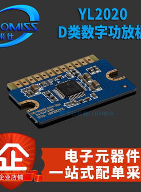 YL2020新款20W+20W D类数字功放板12V-24V迷你功放模块 音效好