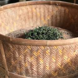 寿宁高山茶下乡的味道老野绿茶森林茶手工揉捻50克