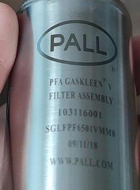 颇尔PFA GASKLEEN 过滤器装置,SGLFPF6501VMM8