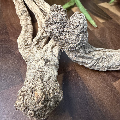 深山采挖大狮子头党参条250g