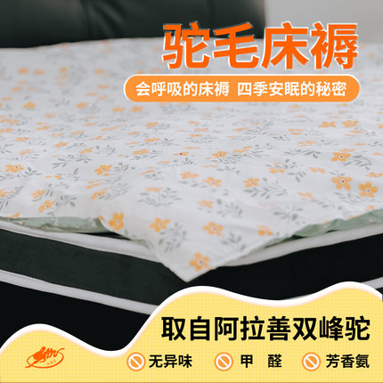 阿拉善沙漠王驼毛床褥子软垫家用抑菌保暖隔潮全棉榻榻米铺底包邮