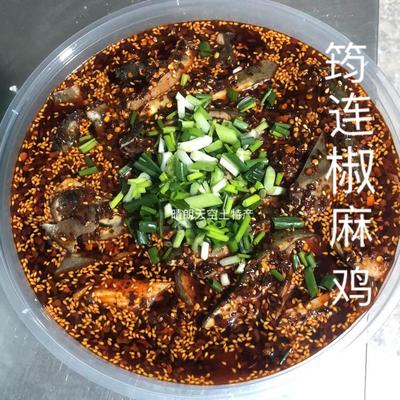 麻辣味口水鸡四川筠连椒麻鸡
