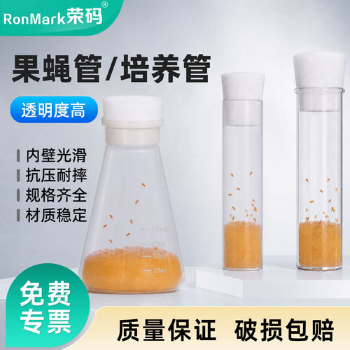 透苯pp玻璃果蝇管果蝇瓶海绵塞