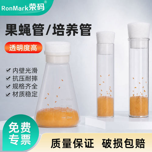 透苯pp玻璃果蝇管规格齐全海绵塞