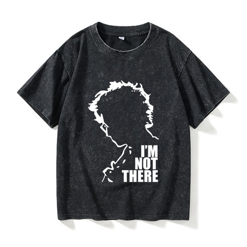 BobDylan鲍勃迪伦iamnotthe