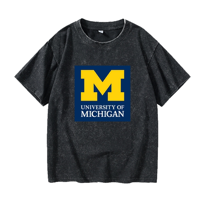 密歇根大学TheUniversityofMi