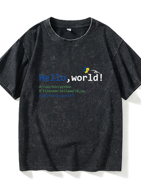 极客helloworld程序员代码码猴码农T恤短袖个性衣服女男圆领大码