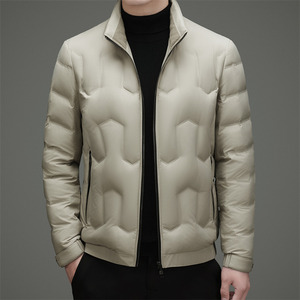 冬季新标90绒高充绒立领简约羽绒服XZ804/M6955P220图片