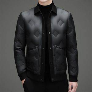 冬季新标50绒压胶翻领简约羽绒服XZ804/M6999P230图片