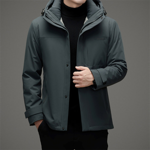 冬季中老年连帽鹅绒羽绒服内胆可拆M6735P315图片