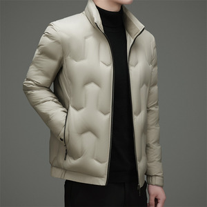 冬季新标90绒高充绒立领简约羽绒服XZ804/M6955P220图片