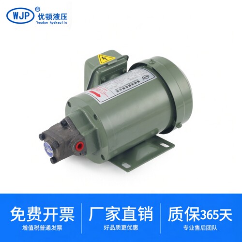 齿轮油泵摆线泵wjp220V