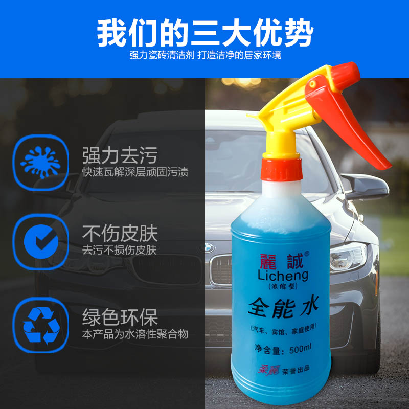 丽诚去除污渍汽车家用去污清洗剂