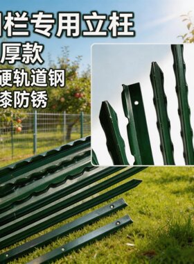 尖头实心立柱花边加厚围网铁丝
