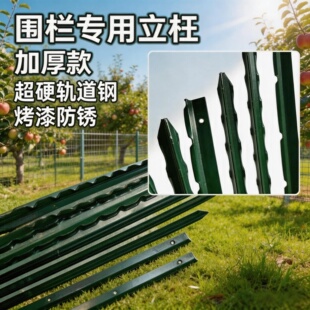 立柱杆铁丝围栏网钢支撑杆Y形实心栅栏尖头防锈家用养殖角铁铸铁
