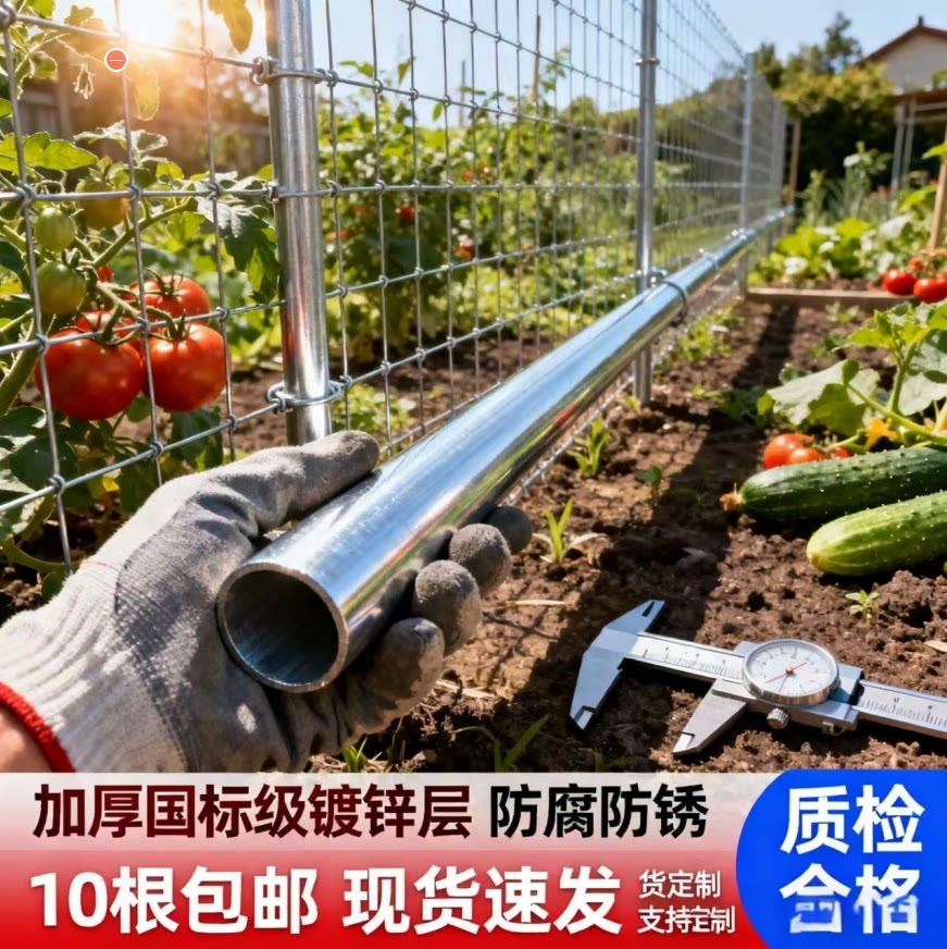 围栏立柱杆镀锌钢管立柱方管矩形方管尖头角铁立柱杆塑料网爬藤架图片