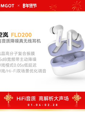 兴戈空岚FLD200真无线入耳式ANC主动降噪蓝牙耳机长续航高音质