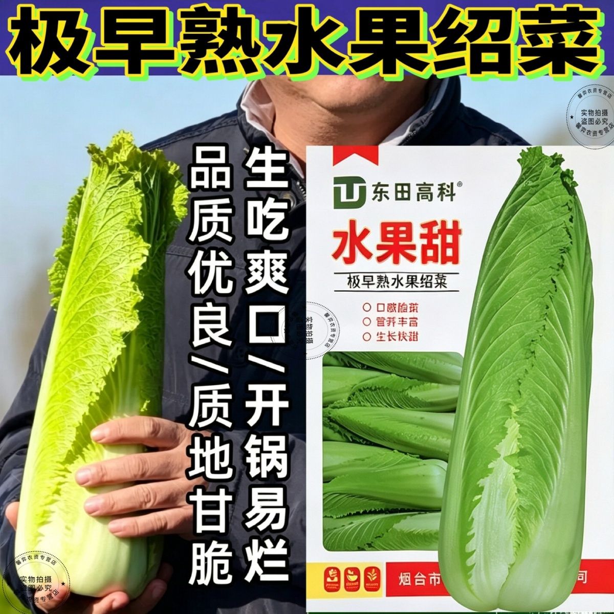 极早熟55天龙牙白菜种子水果绍菜种籽黄心小白菜耐寒耐热蔬菜种子