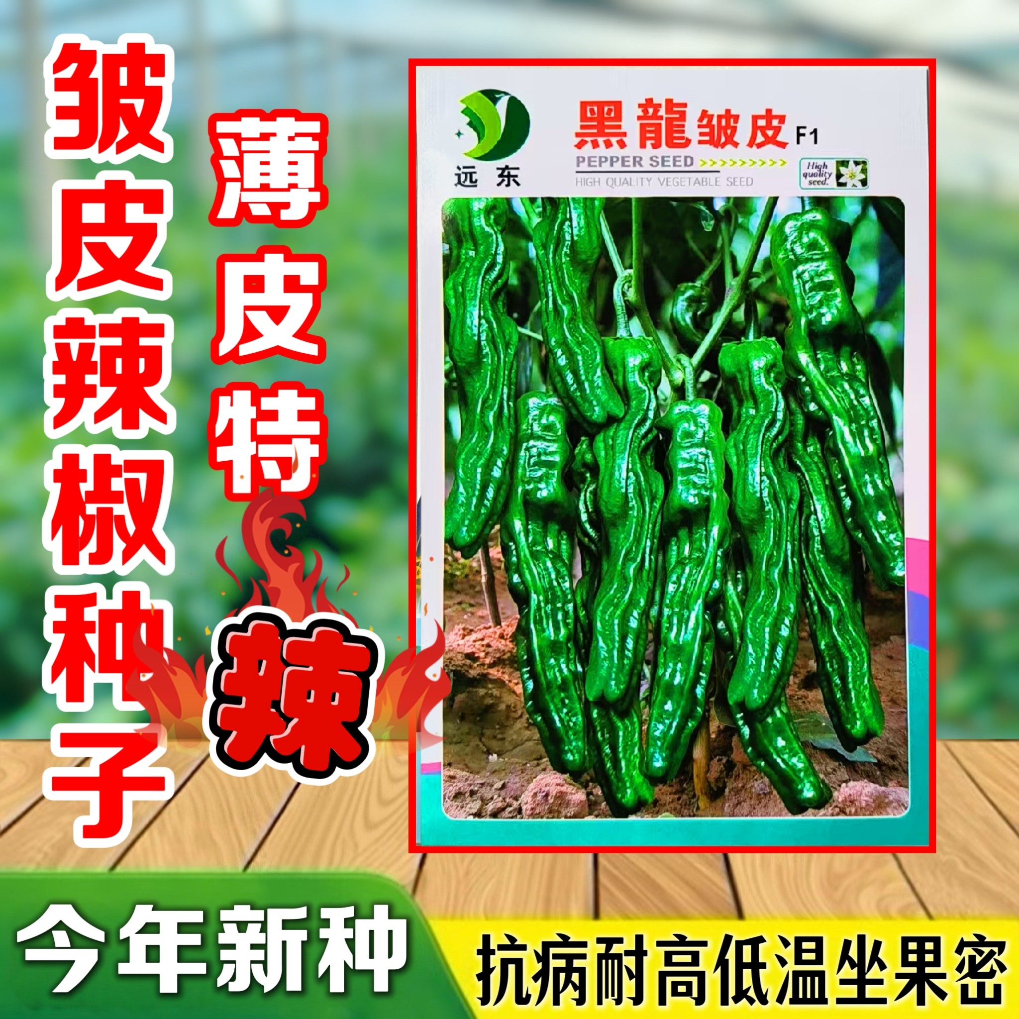 特辣辣椒种子皱皮辣椒黑龍皱皮一代杂交薄皮辣椒高产抗病蔬菜种子