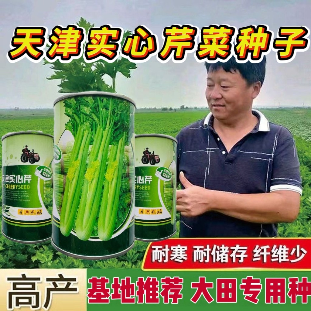 天津实心芹种子津南实芹四季芹菜种子高产耐寒蔬菜种子大田专用种
