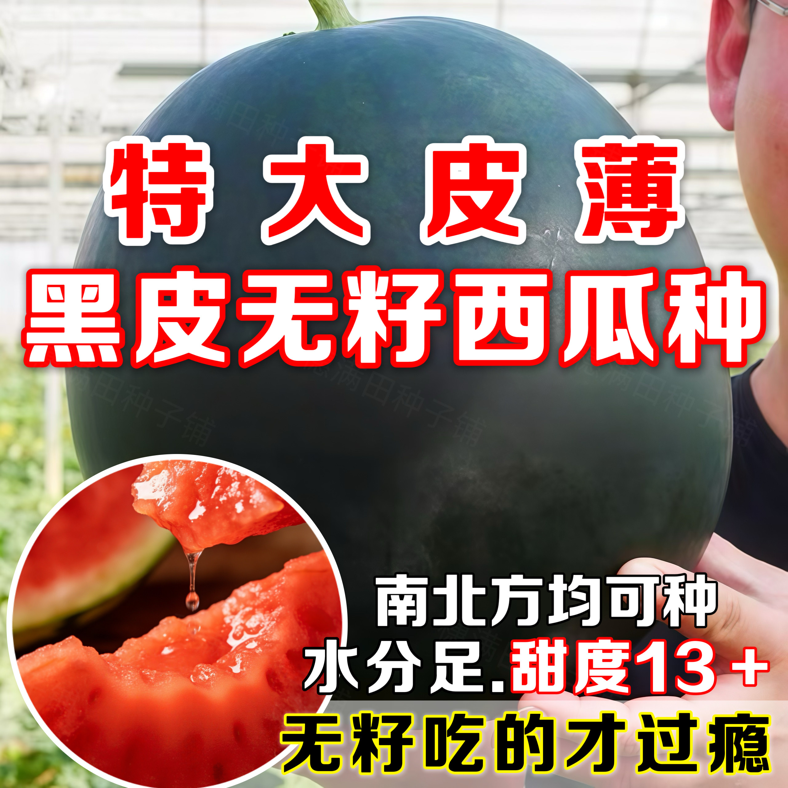黑皮无籽西瓜种子高产高甜早熟薄皮甜脆黑皮瓜种子南北方均可种植