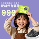 孕妇儿童零食蓝莓果干 随享装 怡颗果无添加蓝莓干16g 3袋小包装