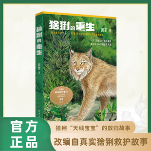猞猁的重生 真实猞猁救护故事 西宁野生动物园百万科普博主圆掌著 小学生课外读物儿童文学小说绘本插画故事书 新世纪出版社