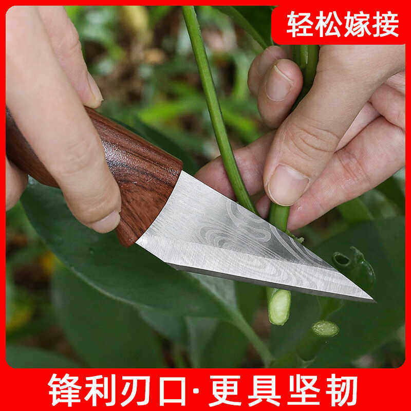 嫁接专用刀果树植物多肉砍头扦插嫁接神器进口手工嫁接芽刀膜工具