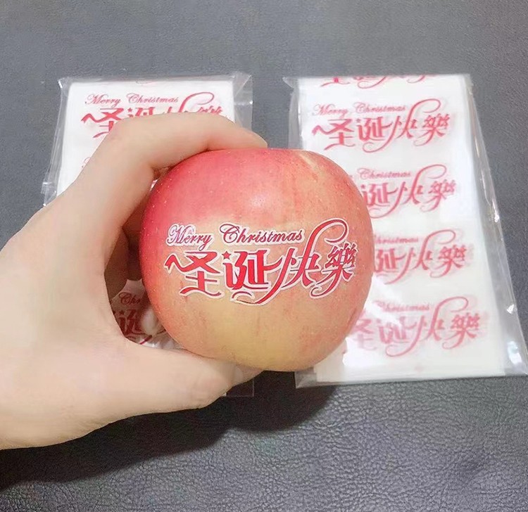 防水圣诞贴纸圣诞快乐