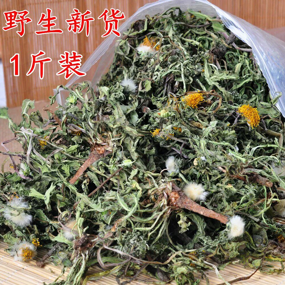 野生蒲公英新货黄黄苗婆婆丁农家干货天然无添加泡茶整棵带根干净
