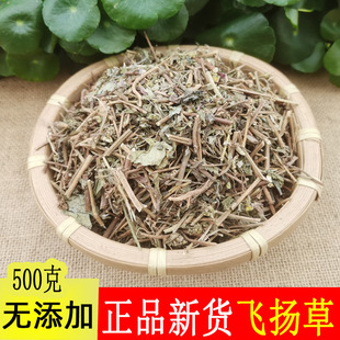 包邮中药材 大飞扬草 500克 飞扬草 大乳汁草 无硫飞杨草