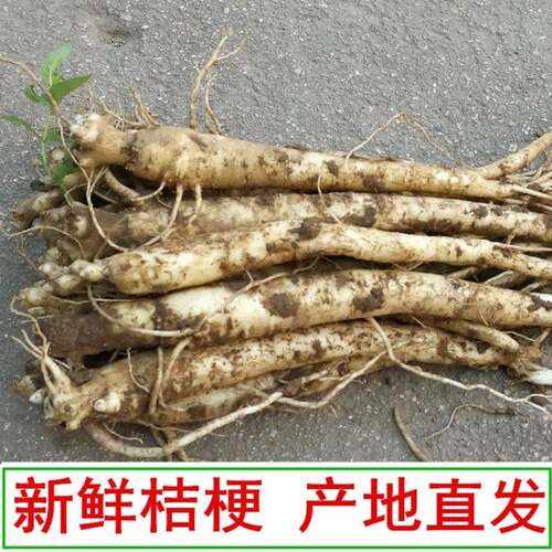 桔梗三年生新鲜桔梗500g
