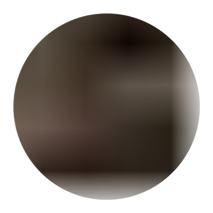 野生五月艾根 艾叶根老艾根 艾草根 小叶艾根 客家煲汤料食用500g