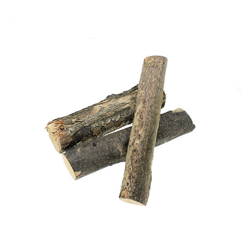 独角仙攀爬木 甲虫爬虫箱饲养垫材 锹甲生态布景树枝 3根装