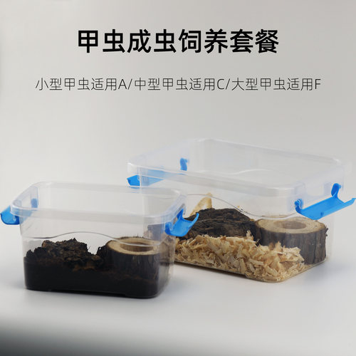 甲虫独角仙饲养套餐养殖盒观察箱