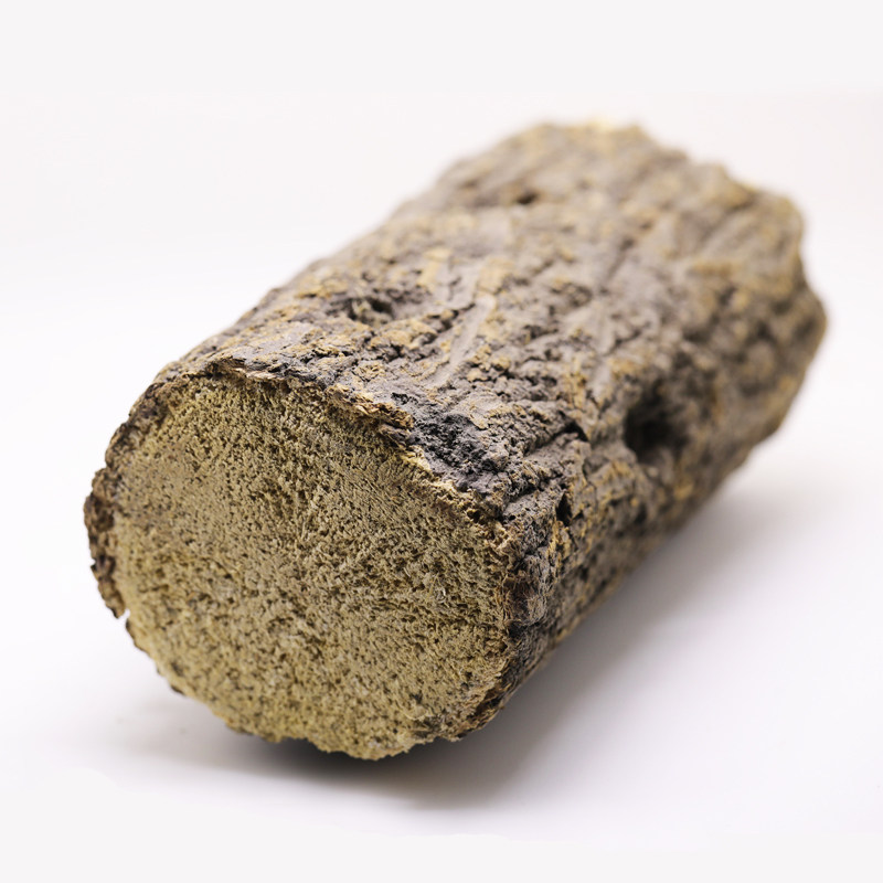 甲虫产木彩虹锹甲成虫产卵繁殖产房发酵木屑独角仙中大扁巨扁锹,宠物/宠物食品及用品,爬虫/鸣虫食物,淘宝优惠券,粉丝福利购,淘宝优惠卷