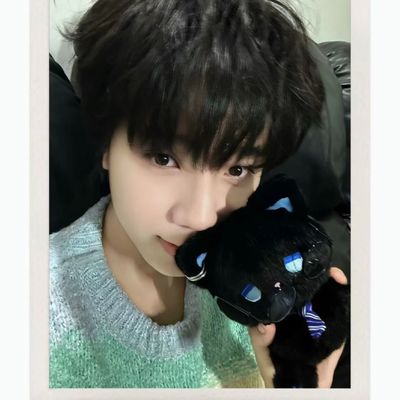 王橹杰同款玩偶可爱高颜值橹穆emo小猫毛绒王橹杰同款小猫黑猫