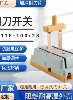 HS11F-100/28双投转换刀开关双向隔离防误刀闸刀开关三相380V家用