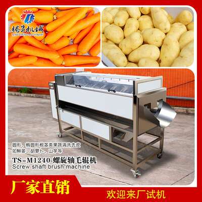厂家供应洋姜清洗机 根茎类菜毛刷去皮清洗机 毛辊洗皮机 螺旋轴