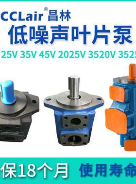 叶片泵20V8A10A14A17A19A25V21A25A30A35V45A3520V4520V3525V4525