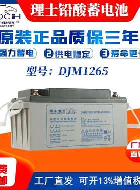 理士蓄电池LEOCH免维护蓄电池12V65AH理士DJM1265SUPS电源EPS直流