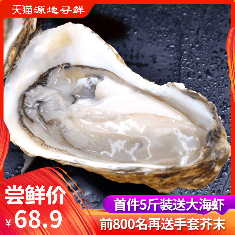 生蚝鲜活5斤装10斤乳山牡蛎海蛎子新鲜即食烧烤食材特大海鲜水产(非品牌)