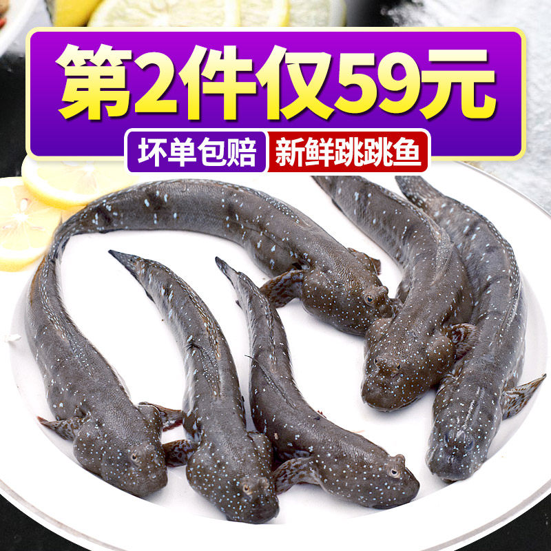 舟山新鲜跳跳鱼500g宁波弹涂鱼 …